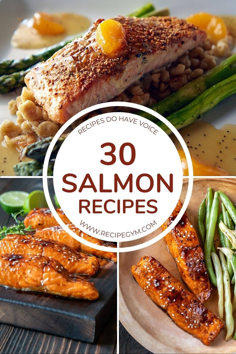 30 salmon recipes