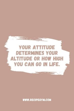 3ddd Your attitude determines your altitude or how high you can go in life