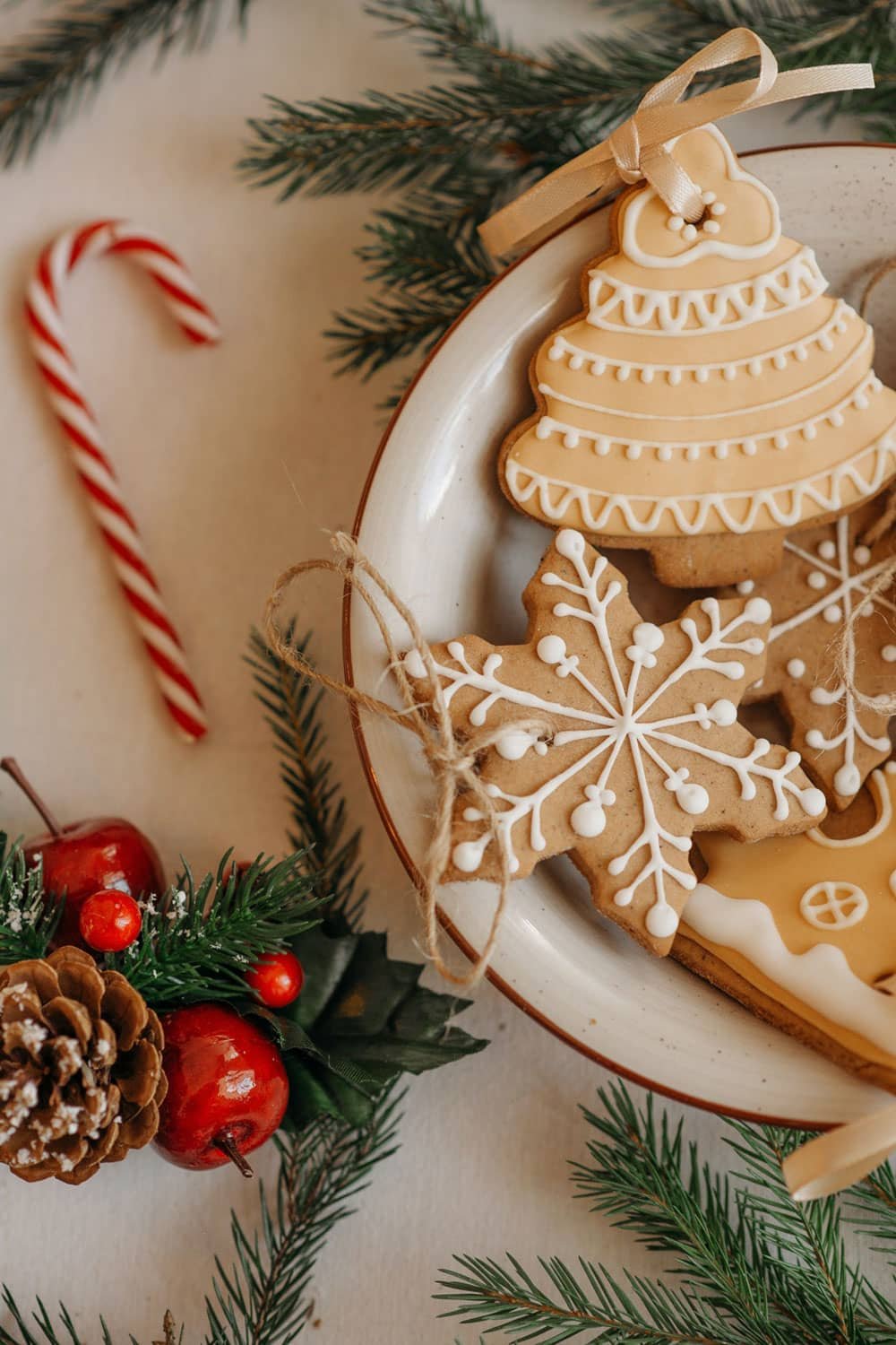 Applesauce Cinnamon Ornaments for Christmas Decor - Recipe Gym